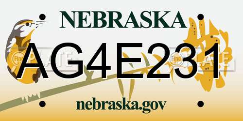 AG4E231 Nebraska License Plate