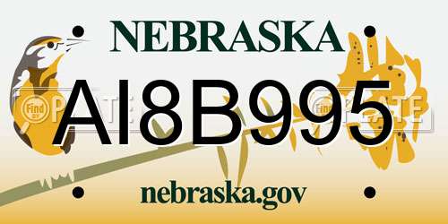 AI8B995 Nebraska License Plate