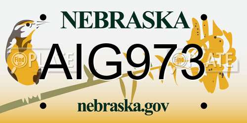 AIG973 Nebraska License Plate
