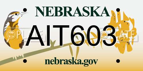 AIT603 Nebraska License Plate