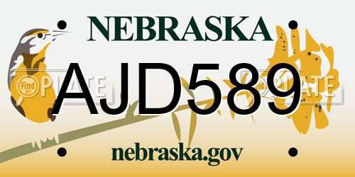 AJD589 Nebraska License Plate