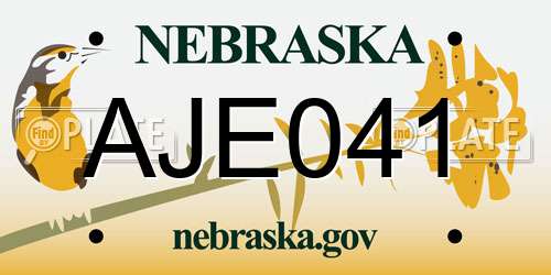 AJE041 Nebraska License Plate