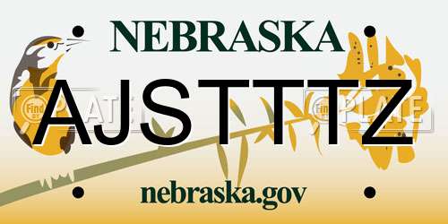 AJSTTTZ Nebraska License Plate