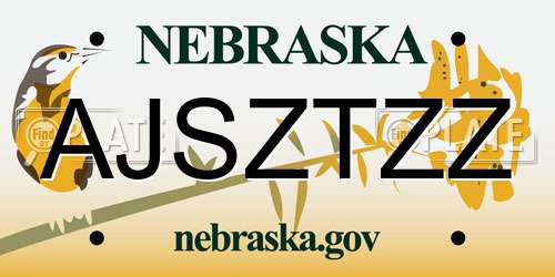 AJSZTZZ Nebraska License Plate
