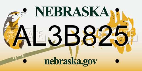 AL3B825 Nebraska License Plate