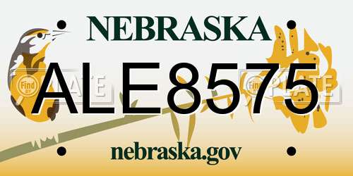 ALE8575 Nebraska License Plate