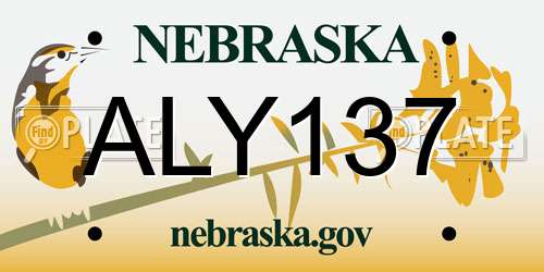 ALY137 Nebraska License Plate