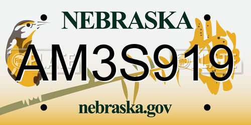 AM3S919 Nebraska License Plate