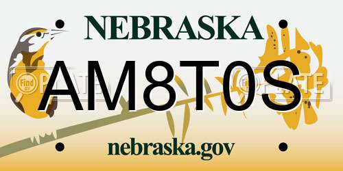 AM8T0S Nebraska License Plate
