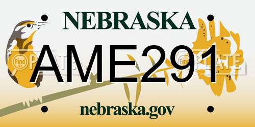AME291 Nebraska License Plate