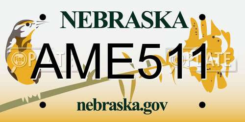 AME511 Nebraska License Plate