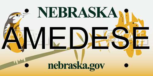 AMEDESE Nebraska License Plate
