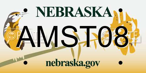 AMST08 Nebraska License Plate