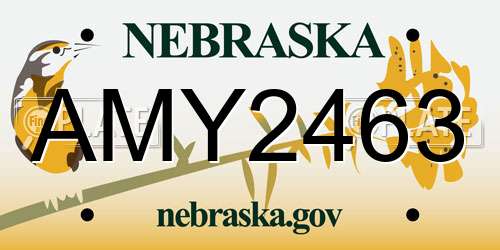 AMY2463 Nebraska License Plate