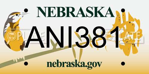 ANI381 Nebraska License Plate