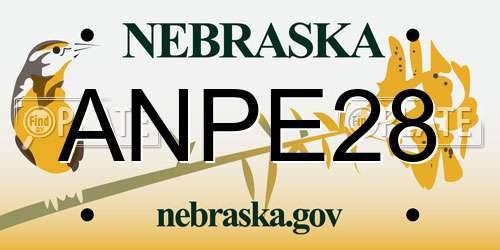 ANPE28 Nebraska License Plate