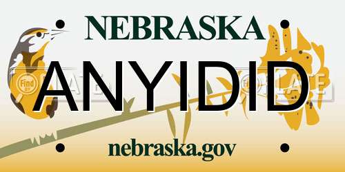 ANYIDID Nebraska License Plate