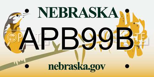 APB99B Nebraska License Plate