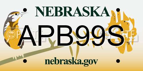 APB99S Nebraska License Plate
