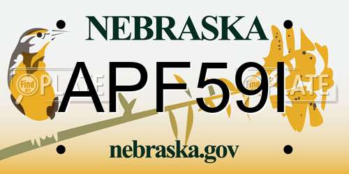 APF59I Nebraska License Plate