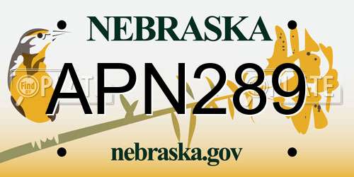 APN289 Nebraska License Plate
