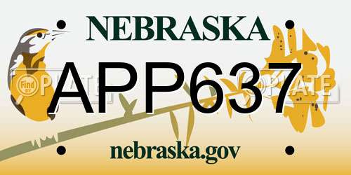 APP637 Nebraska License Plate