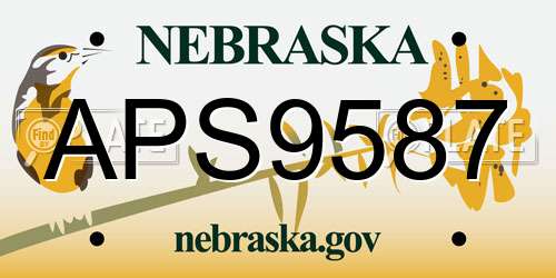 APS9587 Nebraska License Plate
