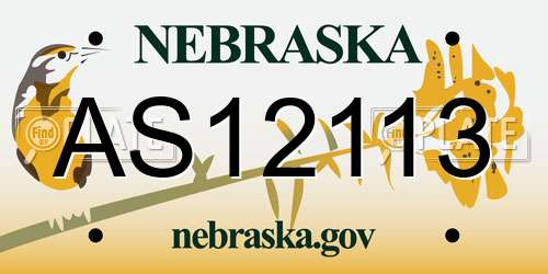 AS12113 Nebraska License Plate