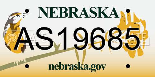 AS19685 Nebraska License Plate