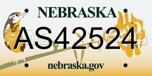 AS42524 Nebraska License Plate