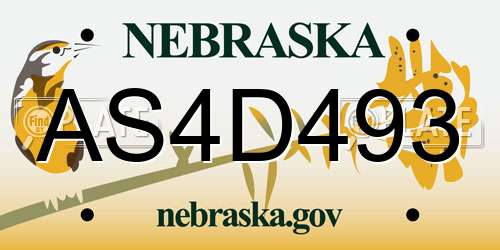 AS4D493 Nebraska License Plate