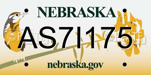 AS7I175 Nebraska License Plate
