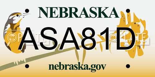 ASA81D Nebraska License Plate