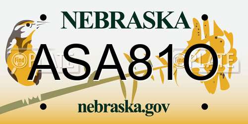 ASA81O Nebraska License Plate