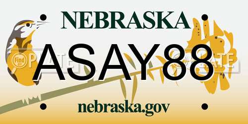 ASAY88 Nebraska License Plate