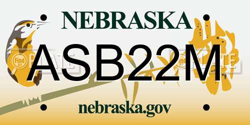 ASB22M Nebraska License Plate