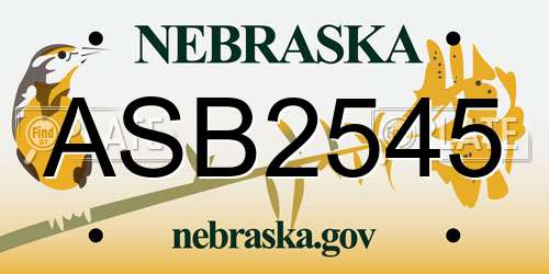 ASB2545 Nebraska License Plate