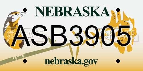 ASB3905 Nebraska License Plate