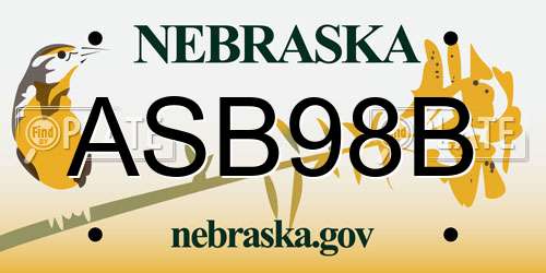 ASB98B Nebraska License Plate
