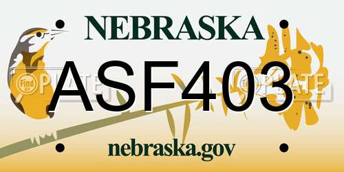 ASF403 Nebraska License Plate