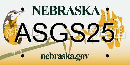 ASGS25 Nebraska License Plate