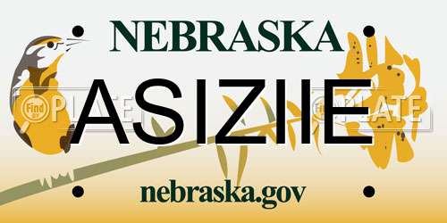 ASIZIIE Nebraska License Plate