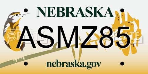 ASMZ85 Nebraska License Plate