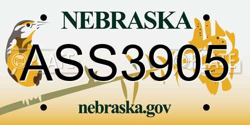 ASS3905 Nebraska License Plate