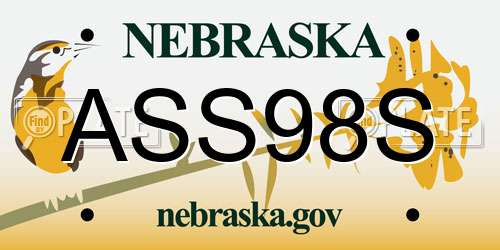ASS98S Nebraska License Plate