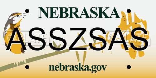ASSZSAS Nebraska License Plate