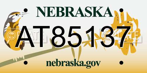 AT85137 Nebraska License Plate