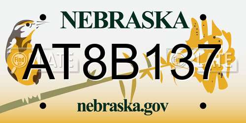 AT8B137 Nebraska License Plate