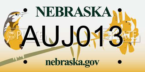 AUJ013 Nebraska License Plate