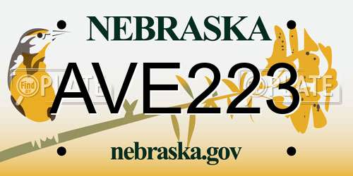 AVE223 Nebraska License Plate